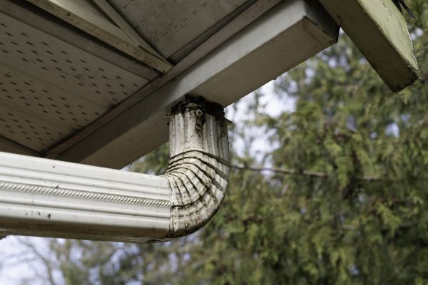 Cost of Roof Drain Replacement in Brentwood